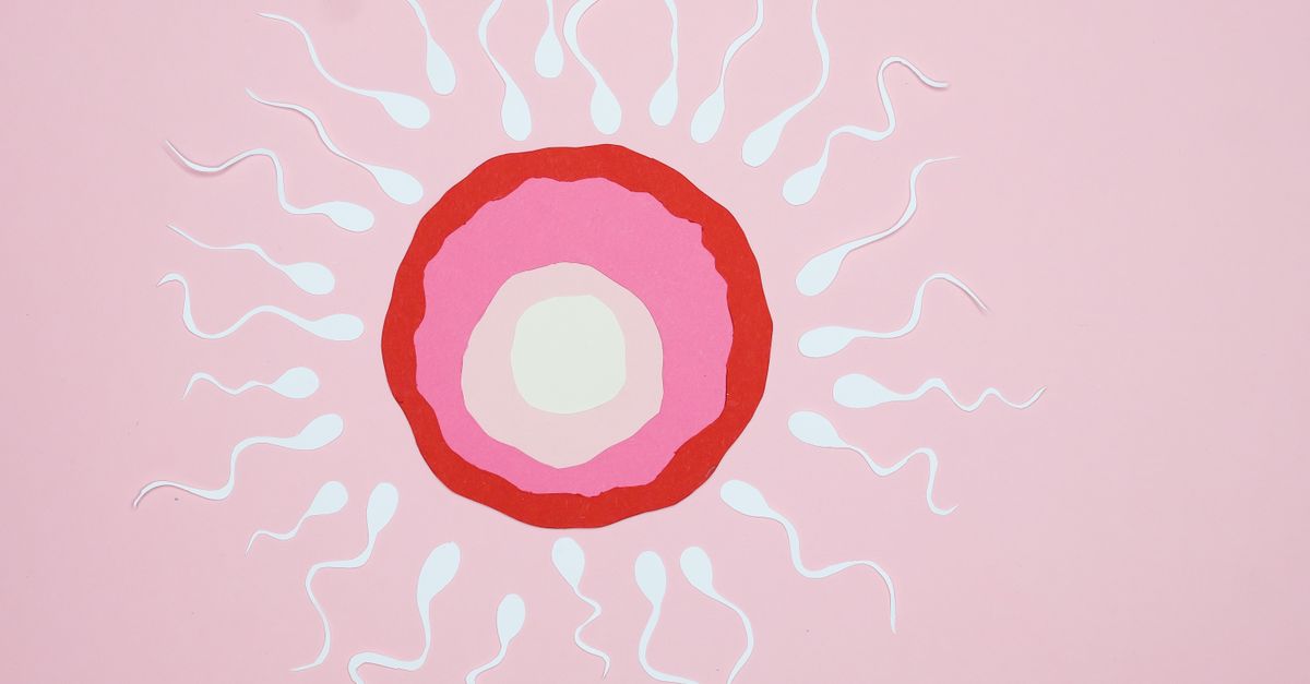 cliniques de fertilité en malaisie offrant des traitements avancés pour vous aider à réaliser votre rêve de parentalité. experts en procréation assistée, soins personnalisés et accompagnement complet.
