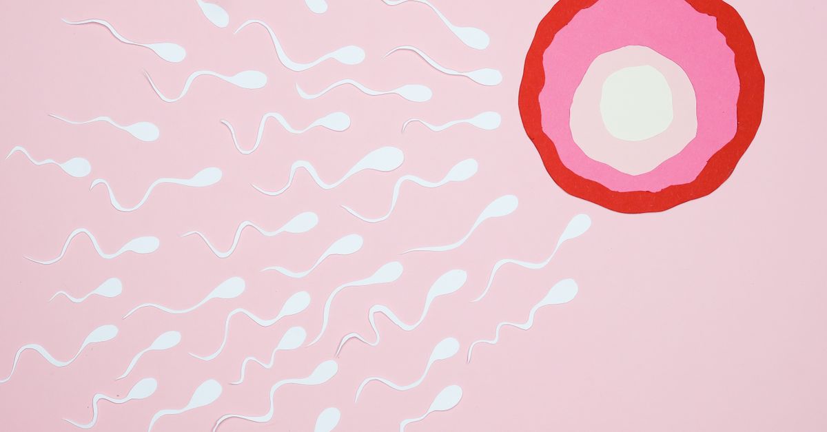 Cliniques de fertilité à singapour : guide complet pour les couples étrangers en pma