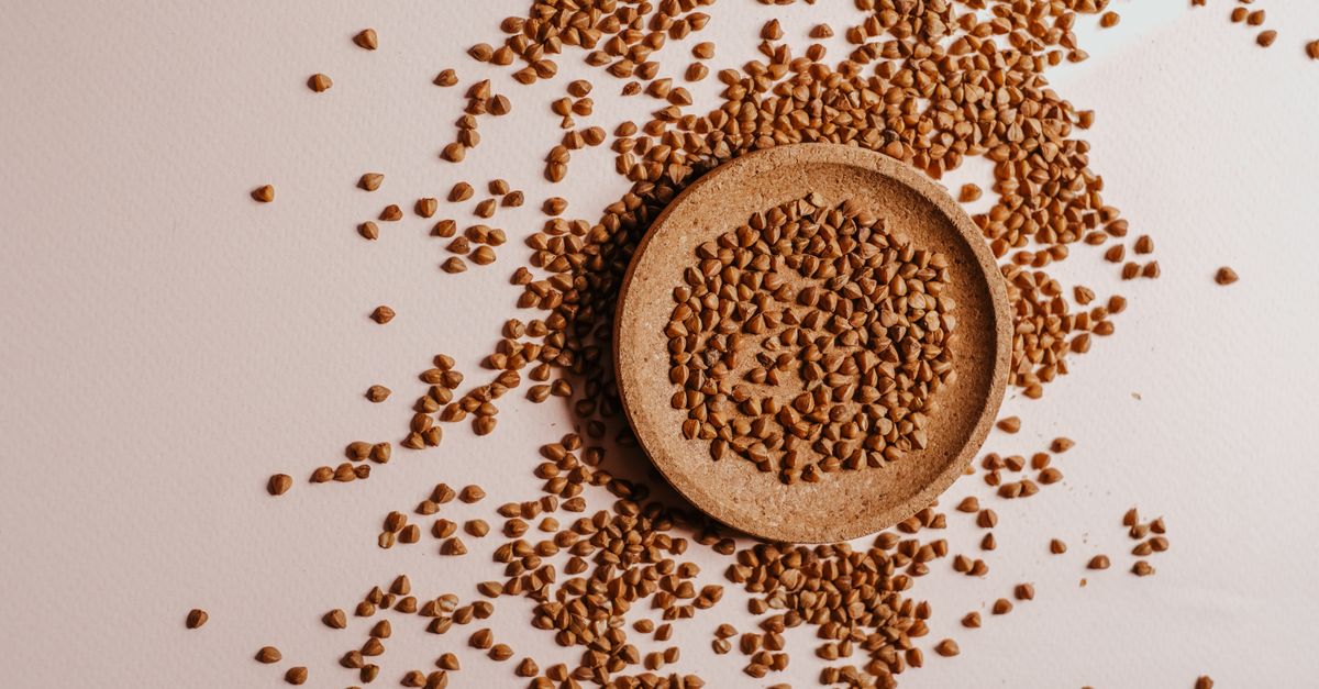découvrez notre nourriture pour chiens sans céréales, formulée pour une alimentation saine et naturelle, idéale pour les chiens sensibles ou allergiques.