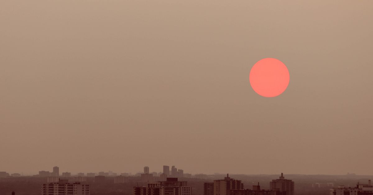 Canicule au Japon en 2026 : comment s'en protéger (résidents et voyageurs)