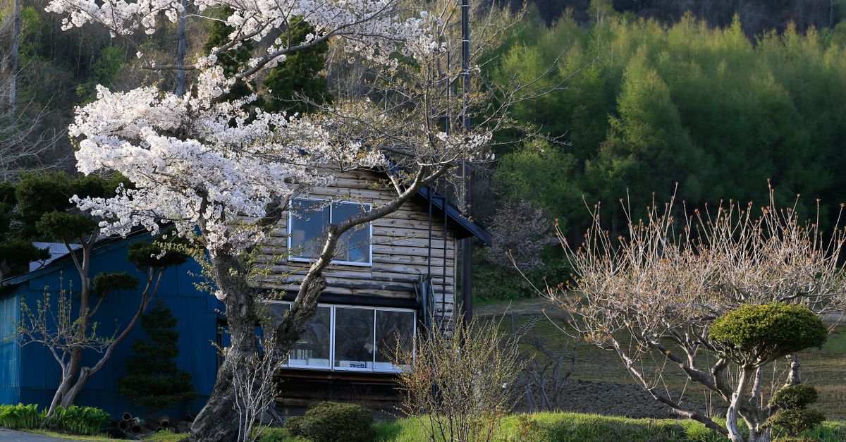 assurance habitation au japon : protégez votre domicile avec des offres adaptées à vos besoins et bénéficiez d'une couverture optimale contre les risques courants.