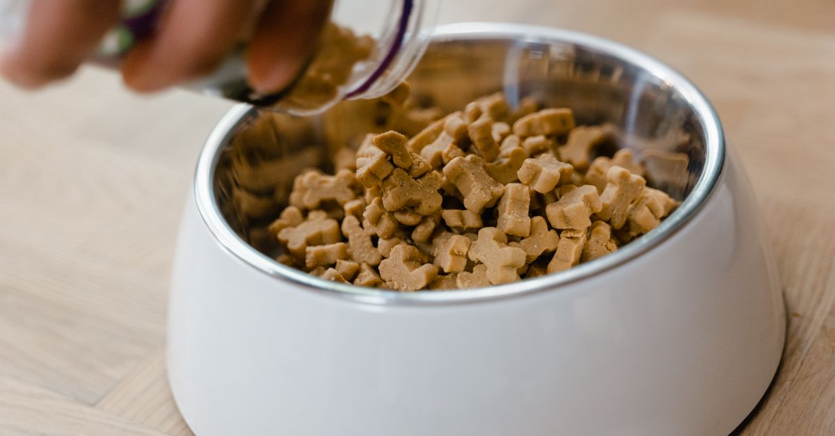 découvrez notre alimentation hypoallergénique pour chiens, spécialement formulée pour réduire les allergies et assurer une digestion optimale à votre compagnon.