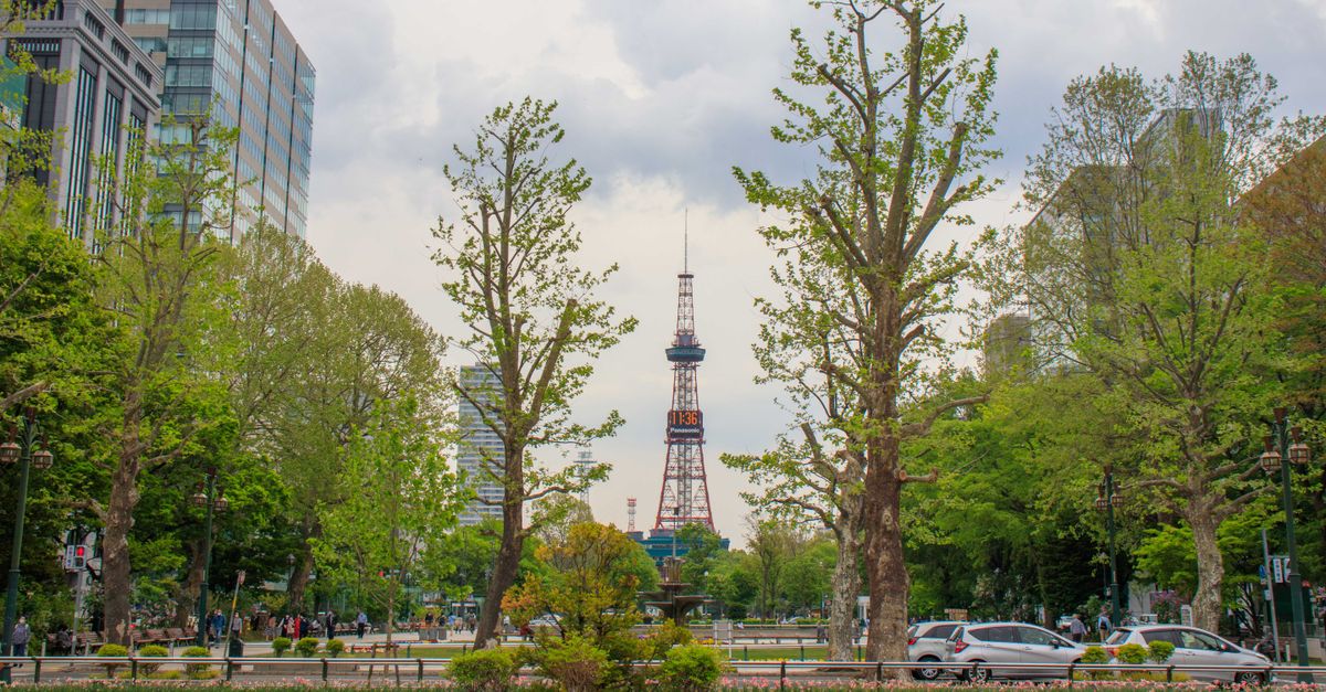 découvrez la vie à sapporo : climat, culture, activités et conseils pratiques pour s'installer et profiter pleinement de cette ville japonaise dynamique.
