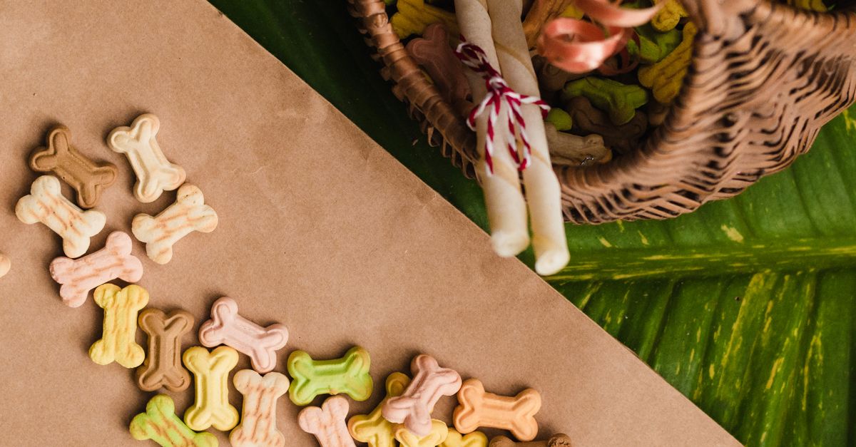 découvrez nos friandises naturelles pour chiens, saines et savoureuses, parfaites pour récompenser votre compagnon tout en prenant soin de sa santé.
