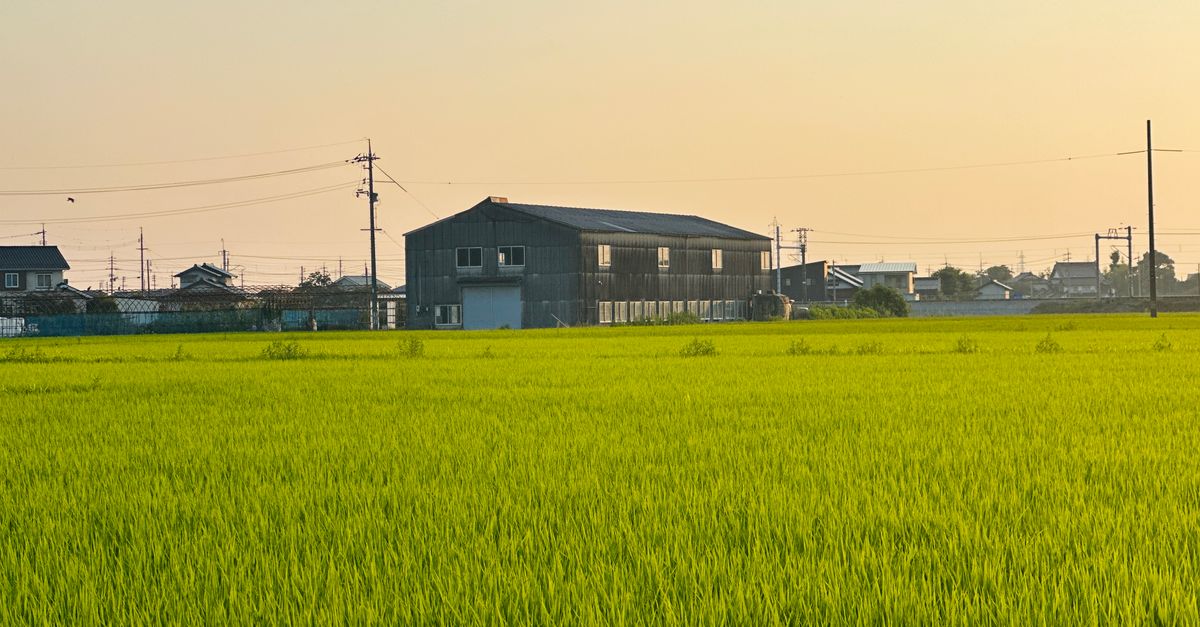 découvrez comment ouvrir une sarl au japon : guide complet sur les démarches, les exigences légales et les conseils pour réussir votre implantation.