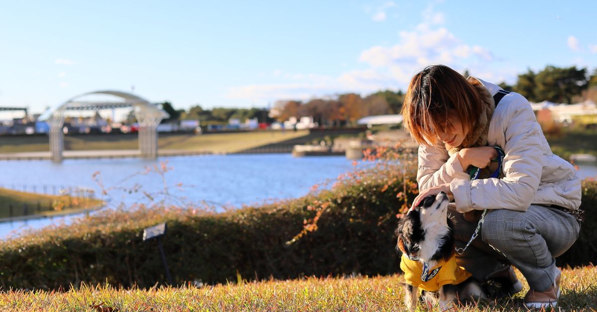 service de pet-sitting au japon : gardez vos animaux de compagnie en toute sécurité et avec amour pendant votre absence.