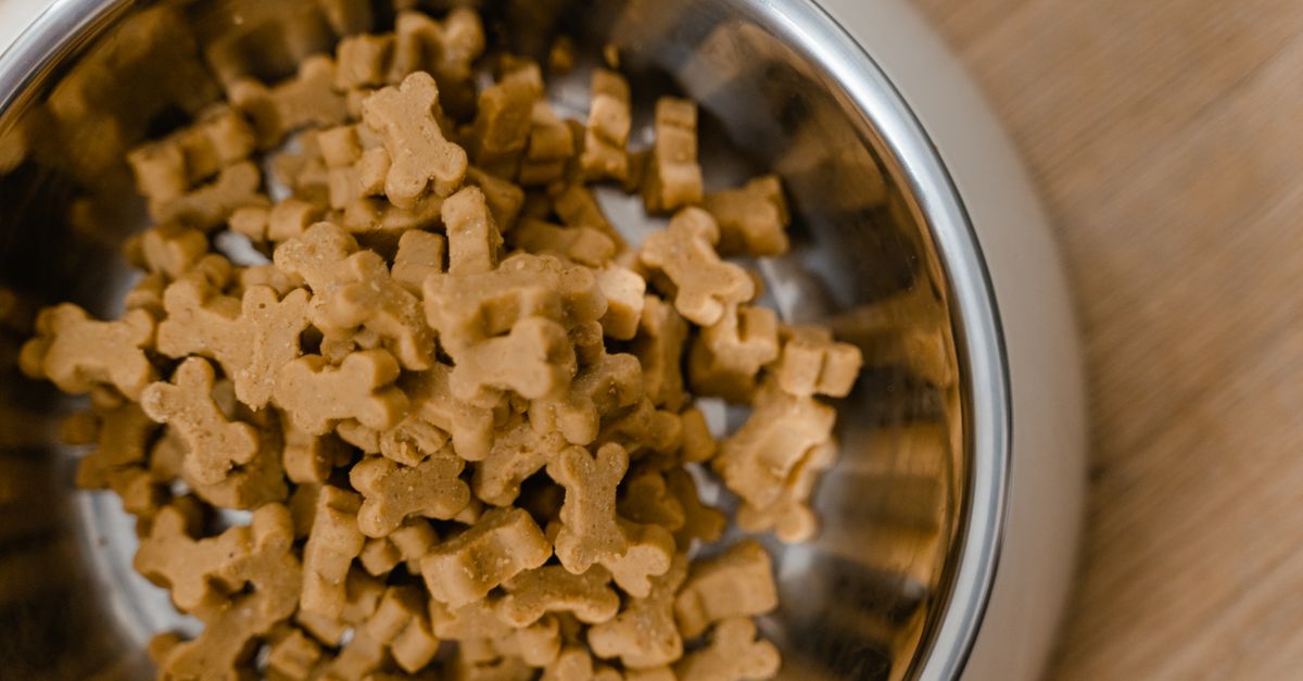 Bosch vs royal canin comparaison des aliments pour chiots en 2026