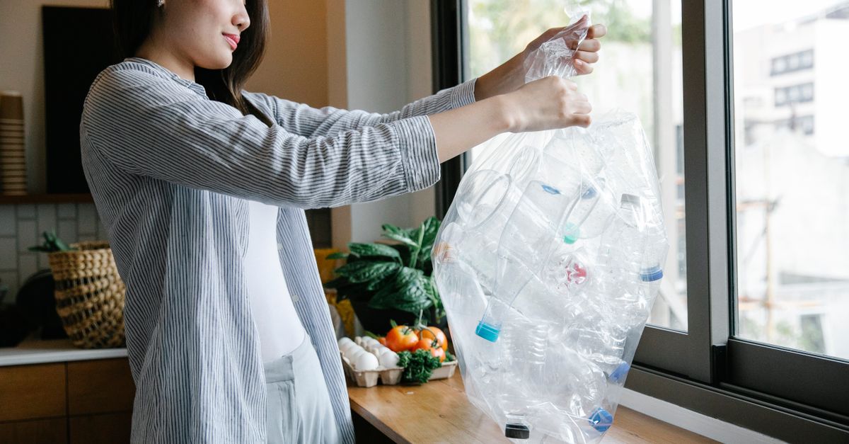 Tri des déchets et recyclage à Singapour en 2026 : le guide pratique pour expatriés