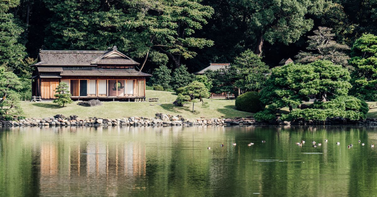 découvrez les retreats bien-être au japon en 2026 : sérénité, spa, méditation et traditions japonaises pour une expérience unique de relaxation et revitalisation.