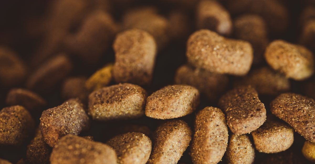 comparaison des aliments pour chiens : guide complet pour choisir la meilleure nourriture adaptée à votre compagnon à quatre pattes.
