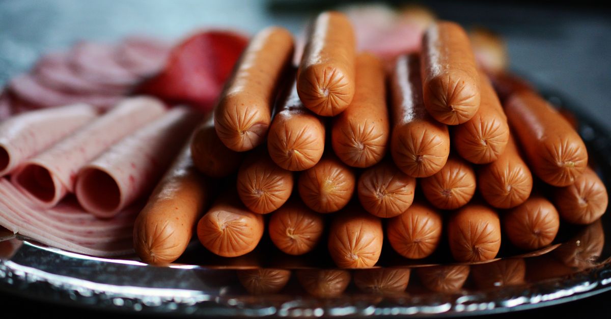 nourriture protéinée pour chiens, riche en protéines essentielles pour une alimentation saine et équilibrée, idéale pour la croissance et l'énergie de votre compagnon.