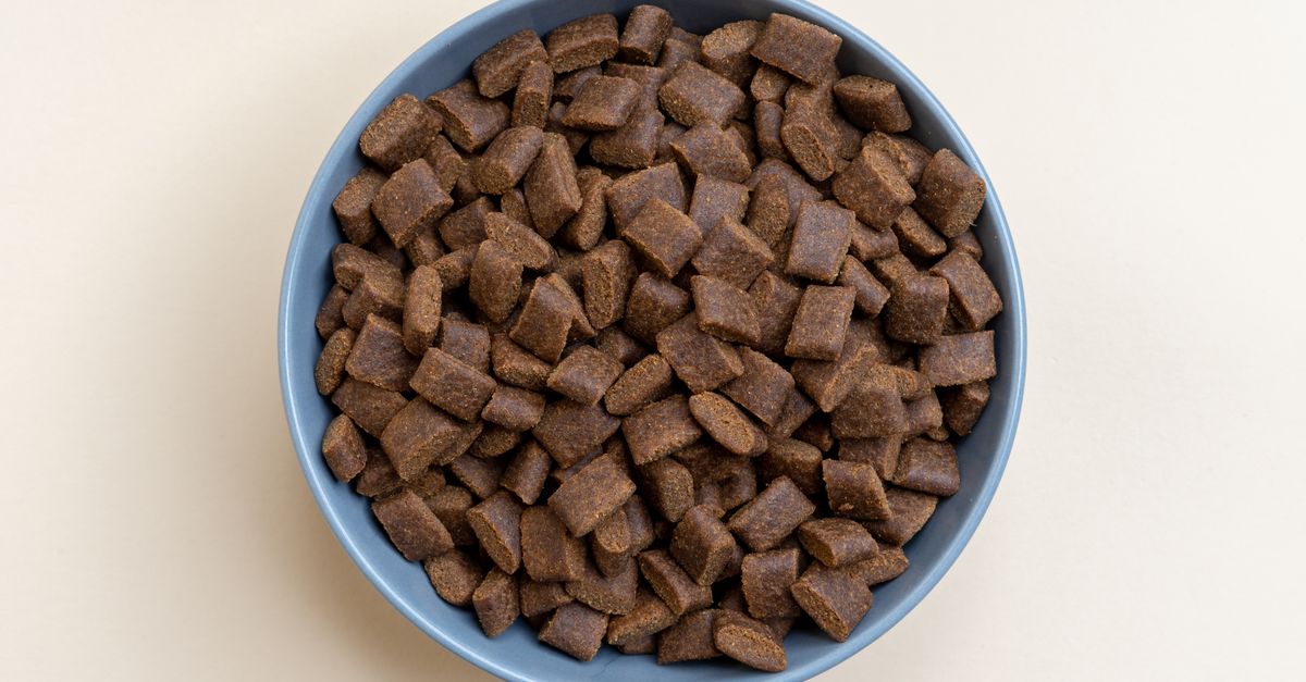 Royal canin vs eukanuba aliments vétérinaires pour maladies canines spécifiques